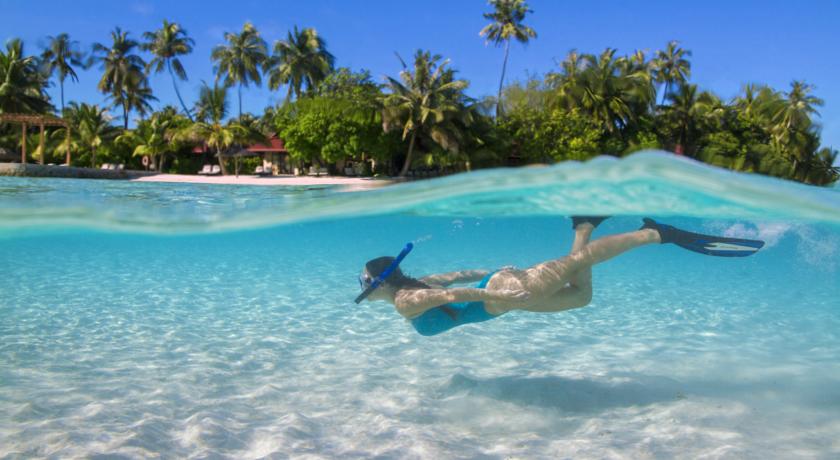 Kurumba Maldives — Північний Мале Атол, Мальдіви мініатюра 10