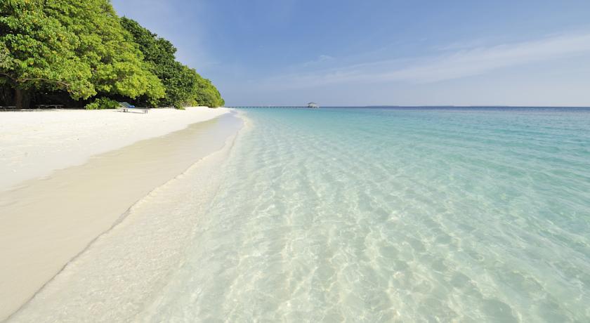 Royal Island Resort & Spa — Баа Атол, Мальдіви мініатюра 109