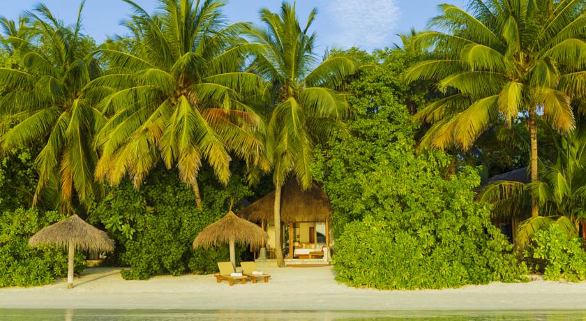 Baros Maldives — Північний Мале Атол, Мальдіви мініатюра 9