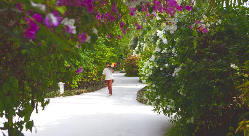 Baros Maldives — Північний Мале Атол, Мальдіви мініатюра 42