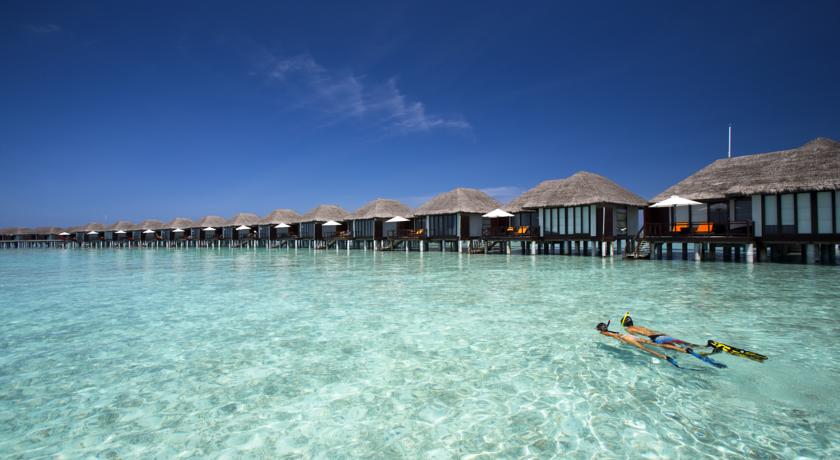 Velassaru Maldives — Південний Мале Атол, Мальдіви мініатюра 30