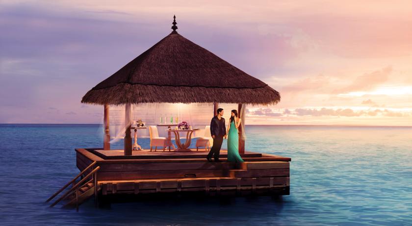 Taj Exotica Resort & Spa — Південний Мале Атол, Мальдіви мініатюра 10