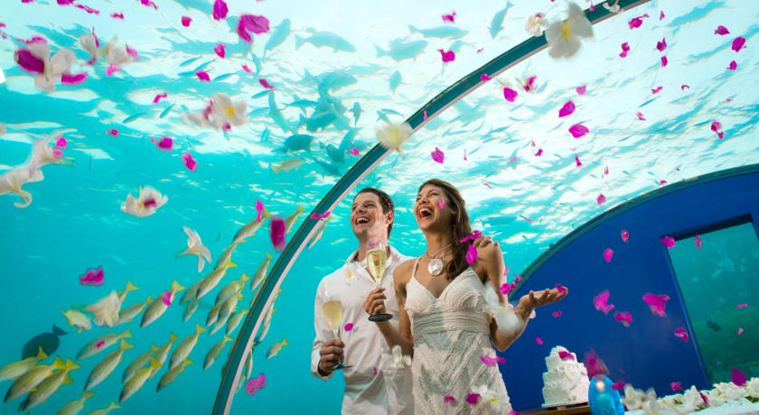 Conrad Maldives Rangali Island — Арі (Аліфу) атол, Мальдіви мініатюра 30