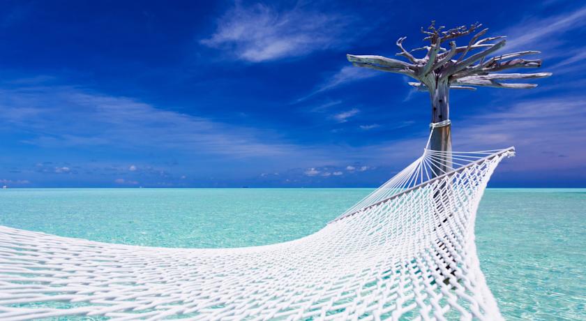 Anantara Dhigu Maldives Resort — Південний Мале Атол, Мальдіви мініатюра 30
