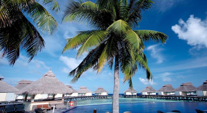 Ellaidhoo Maldives by Cinnamon — Арі (Аліфу) атол, Мальдіви мініатюра 6