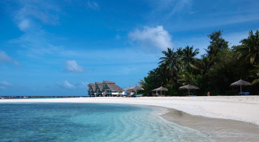 Ellaidhoo Maldives by Cinnamon — Арі (Аліфу) атол, Мальдіви мініатюра 12
