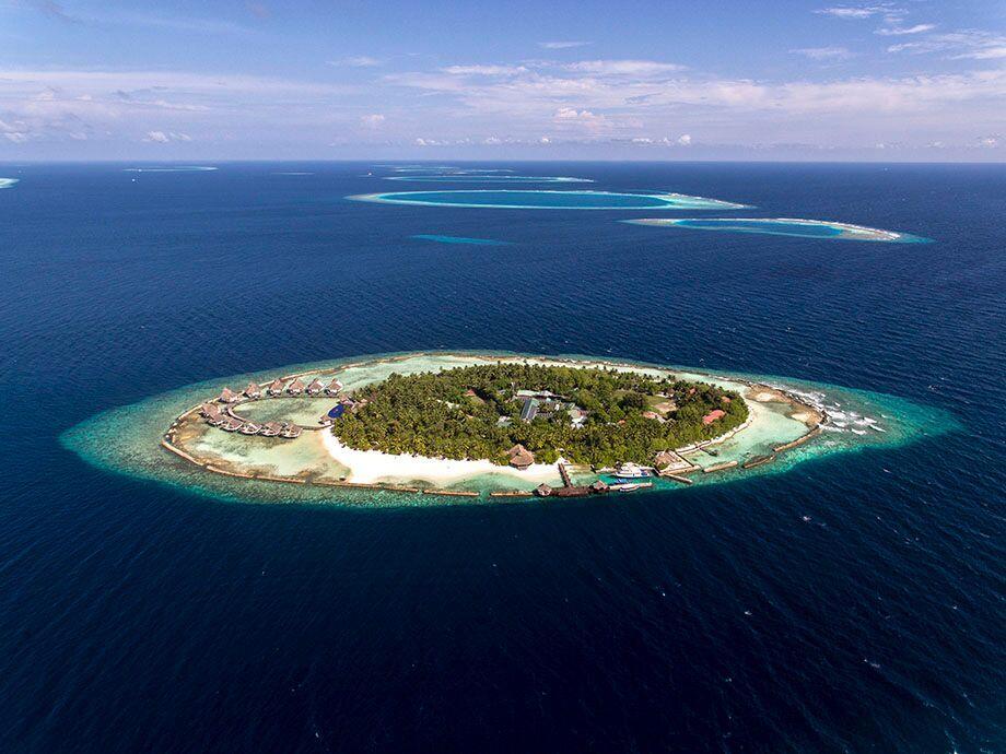 Ellaidhoo Maldives by Cinnamon — Арі (Аліфу) атол, Мальдіви мініатюра 48