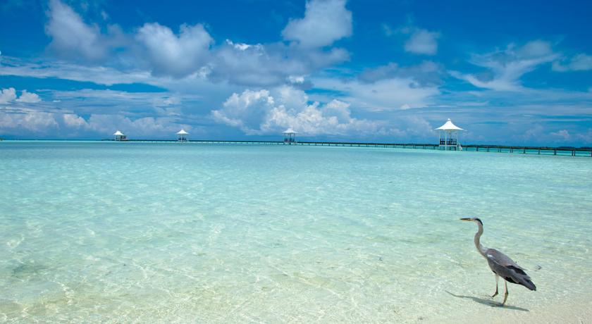 Cinnamon Hakuraa Huraa Maldives — Мулаку (Міму) Атол, Мальдіви мініатюра 23