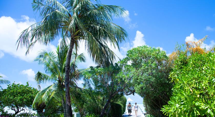 Cinnamon Hakuraa Huraa Maldives — Мулаку (Міму) Атол, Мальдіви мініатюра 41