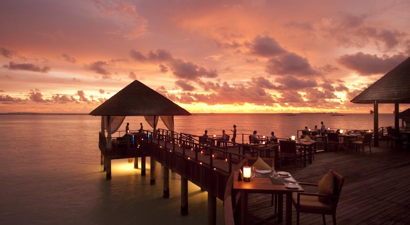The Sun Siyam Iru Fushi — Нуну Атол, Мальдіви мініатюра 11