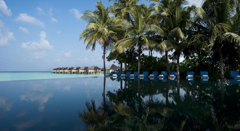 The Sun Siyam Iru Fushi — Нуну Атол, Мальдіви мініатюра 24