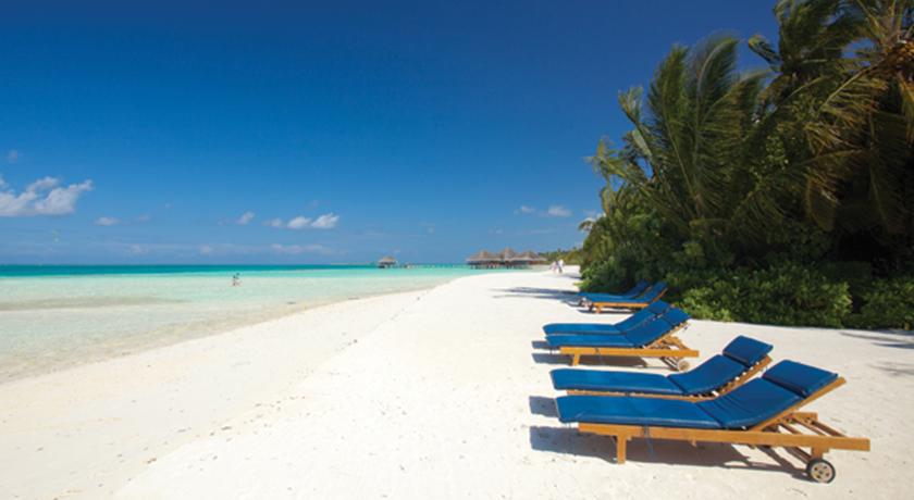 Medhufushi Island Resort — Мулаку (Міму) Атол, Мальдіви мініатюра 14