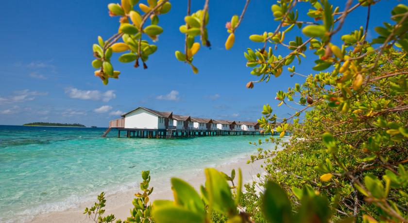 NH Collection Maldives Reethi Resort — Баа Атол, Мальдіви мініатюра 10