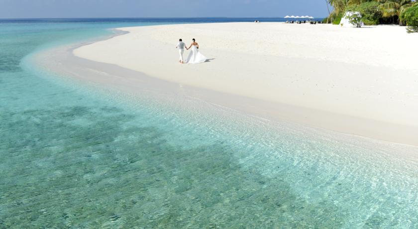 Park Hyatt Maldives Hadahaa — Гаафу Аліфу Атол, Мальдіви мініатюра 241