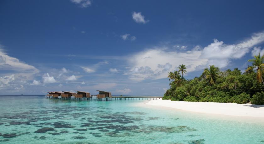 Park Hyatt Maldives Hadahaa — Гаафу Аліфу Атол, Мальдіви мініатюра 242