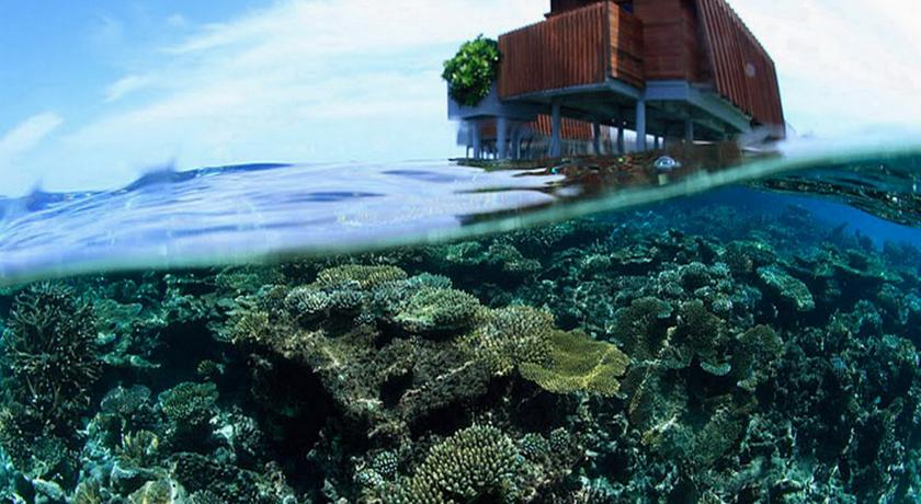 Park Hyatt Maldives Hadahaa — Гаафу Аліфу Атол, Мальдіви мініатюра 243