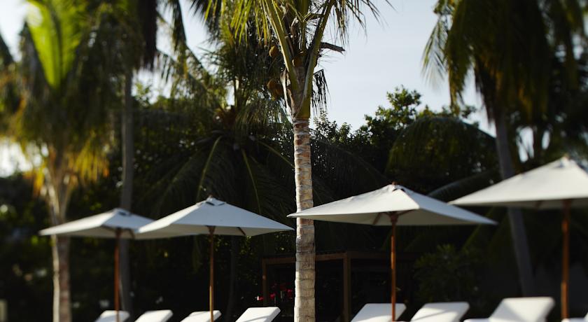 Park Hyatt Maldives Hadahaa — Гаафу Аліфу Атол, Мальдіви мініатюра 281