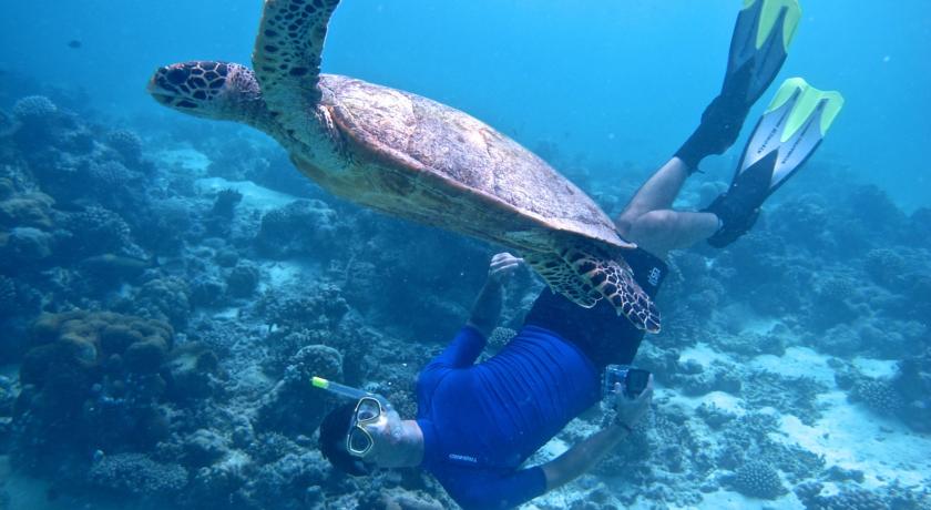 Coco Bodu Hithi — Північний Мале Атол, Мальдіви мініатюра 13