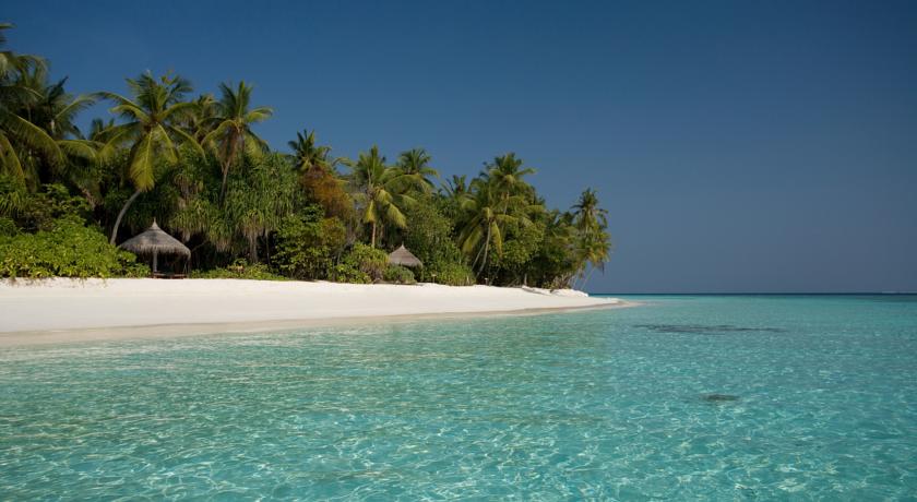 Coco Palm Dhuni Kolhu — Баа Атол, Мальдіви мініатюра 99