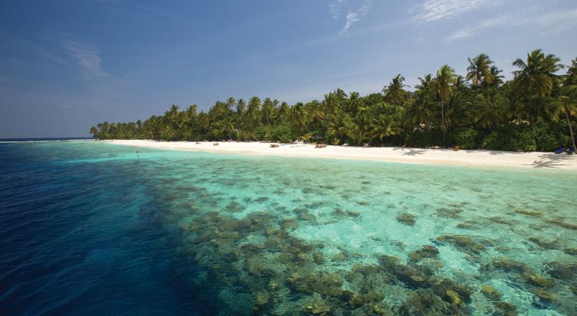 Filitheyo Island Resort — Фаафу атол, Мальдіви мініатюра 23