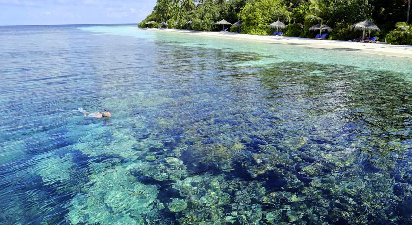 Robinson Club Maldives — Гаафу Аліфу Атол, Мальдіви мініатюра 155