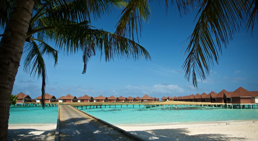 Robinson Club Maldives — Гаафу Аліфу Атол, Мальдіви мініатюра 161