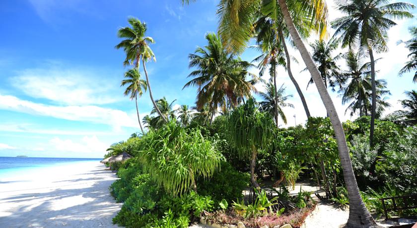 Robinson Club Maldives — Гаафу Аліфу Атол, Мальдіви мініатюра 163