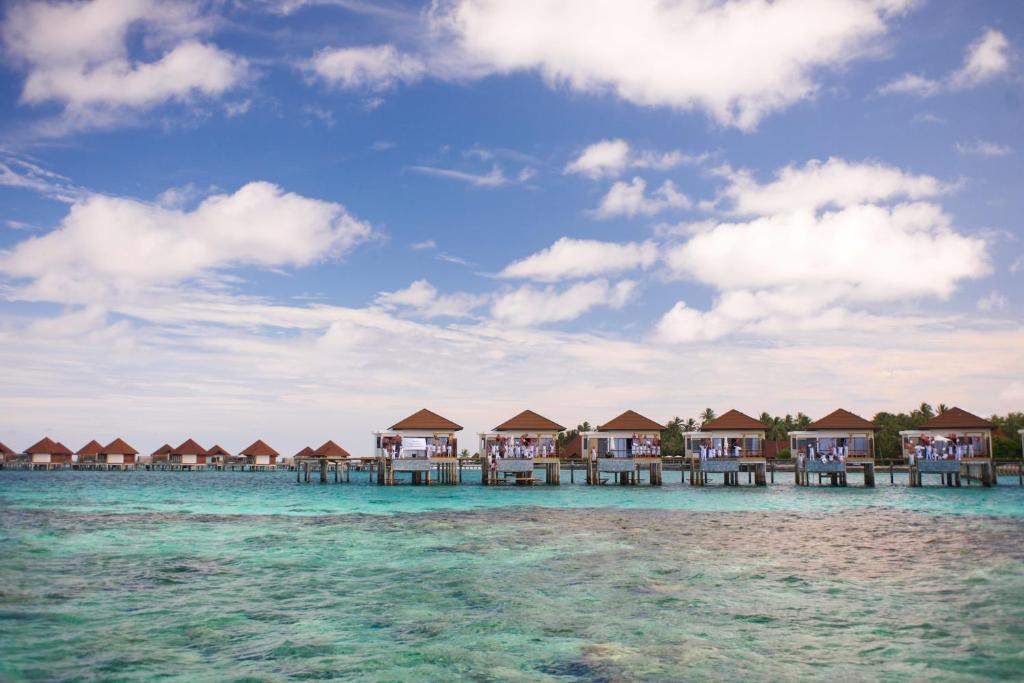 Robinson Club Maldives — Гаафу Аліфу Атол, Мальдіви мініатюра 181