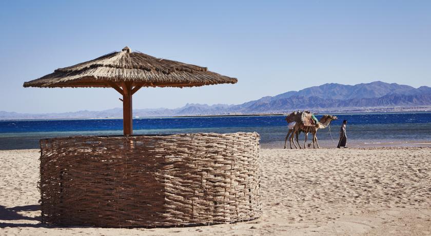 Kempinski Hotel Soma Bay — Сома Бей, Єгипет мініатюра 287