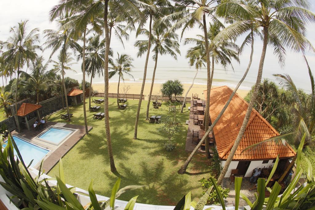 Blue Beach Hotel — Ваддува, Шрі Ланка мініатюра 20