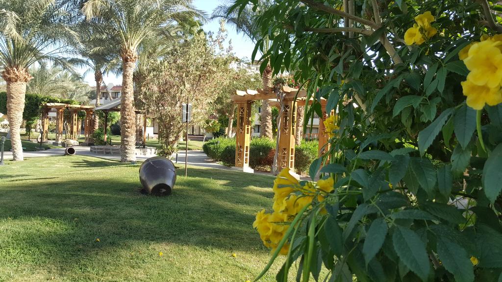 JAZ Elite Casa Del Mar Beach — Хургада, Єгипет мініатюра 14