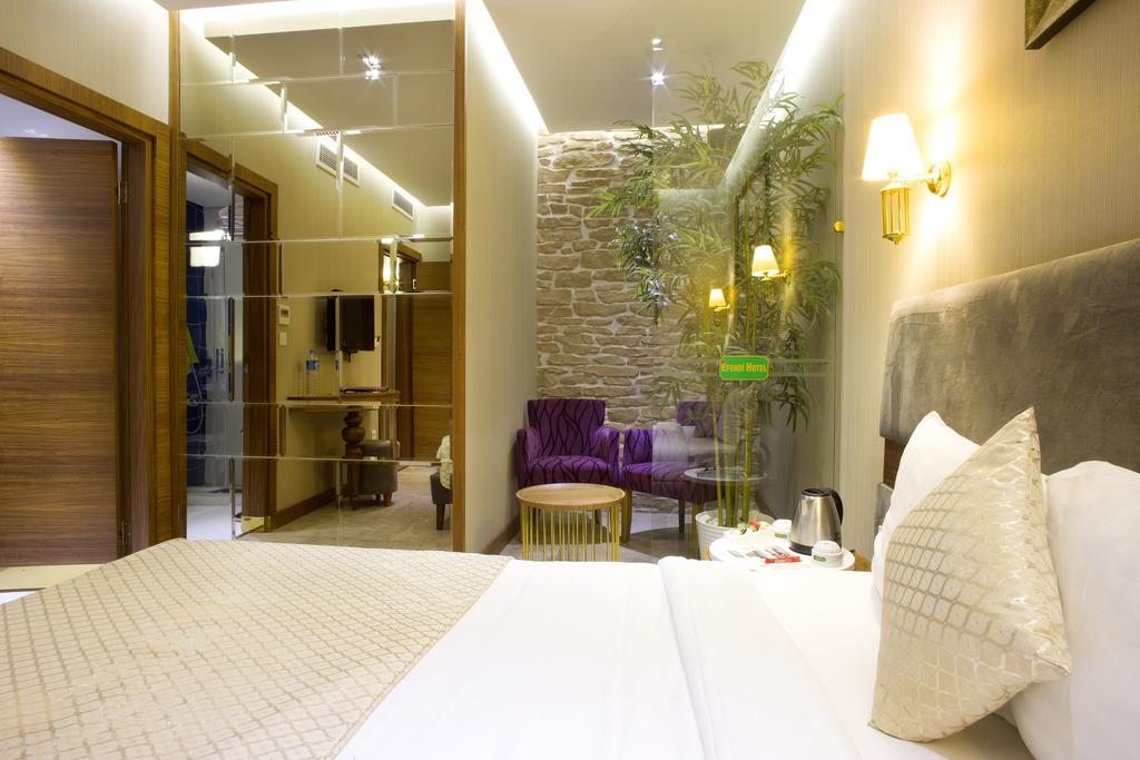 Nowy Efendi Hotel — Стамбул, Туреччина мініатюра 28