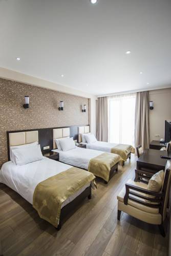 Tbilisi Inn — Тбілісі, Грузія мініатюра 27