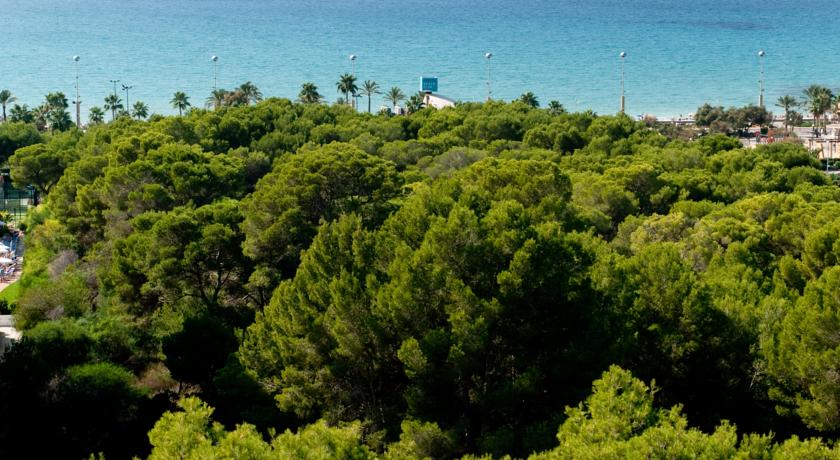 Grupotel Taurus Park Playa de Palma — о. Майорка, Іспанія мініатюра 11