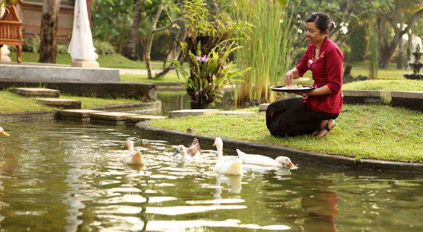 Nusa Dua Beach Hotel & Spa, о. Балі, Індонезія мініатюра 8