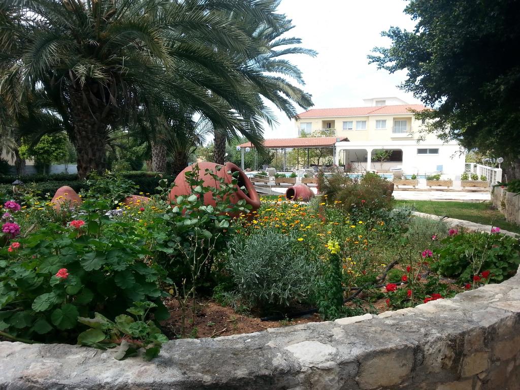 Marion Hotel — Поліс, Кіпр мініатюра 9