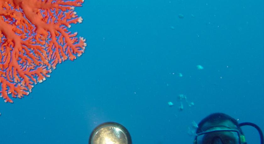 Hikka Tranz by Cinnamon — Хіккадува, Шрі Ланка мініатюра 18