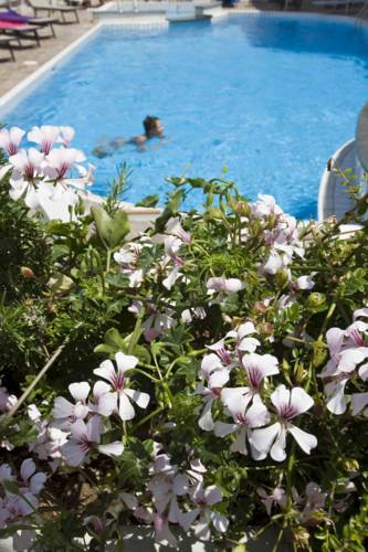 Ferretti Beach Hotel — Емілія Романья, Італія мініатюра 24