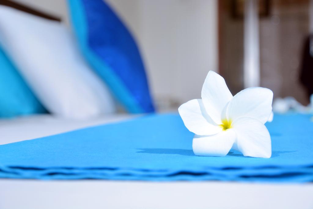 Blue Sky Beach Resort — Унаватуна, Шрі Ланка мініатюра 18