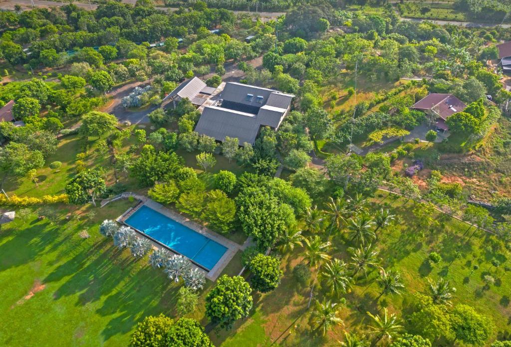 Birds Resort Hambantota — Хамбантота, Шрі Ланка — фото 1