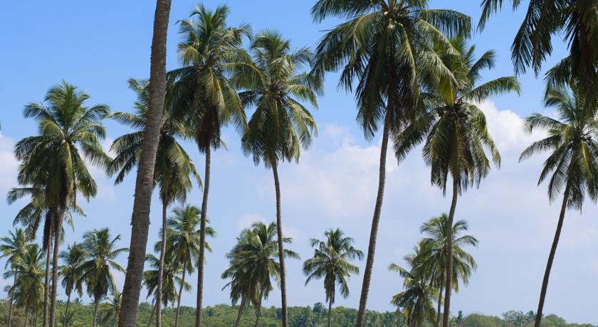 Shangri-La's Hambantota Resort & Spa — Хамбантота, Шрі Ланка мініатюра 31