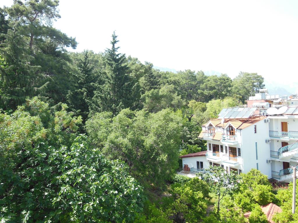 Naturella Hotel & Apart — Кемер, Туреччина мініатюра 19