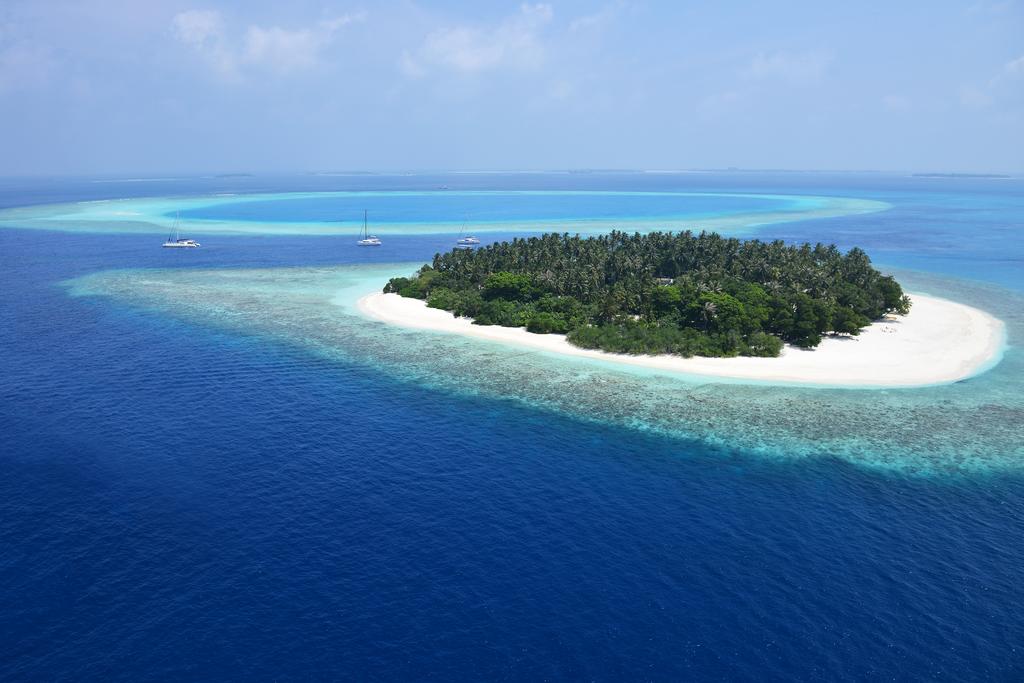 Malahini Kuda Bandos — Північний Мале Атол, Мальдіви мініатюра 44