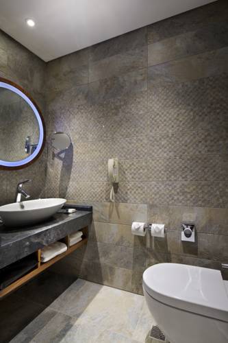 Double Tree By Hilton Hotel Istanbul Piyalepasa — Стамбул, Туреччина мініатюра 34