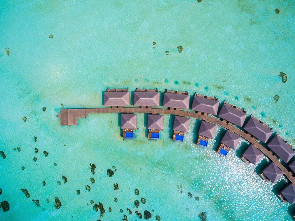 Cocoon Maldives — Лавіяні Атол, Мальдіви мініатюра 16