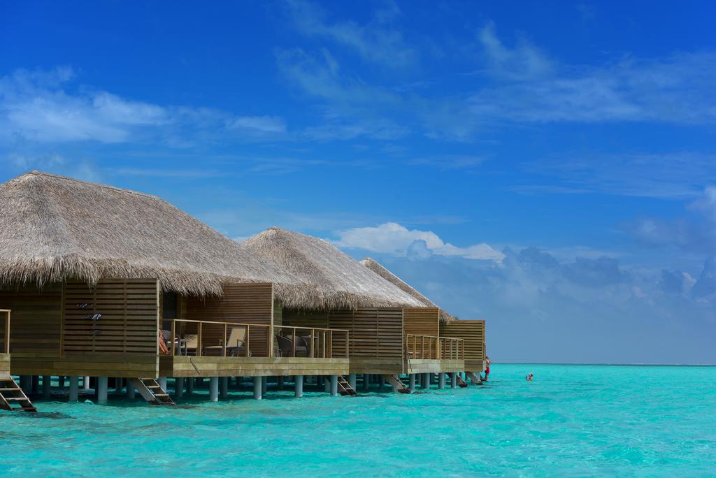 Cocoon Maldives — Лавіяні Атол, Мальдіви мініатюра 17