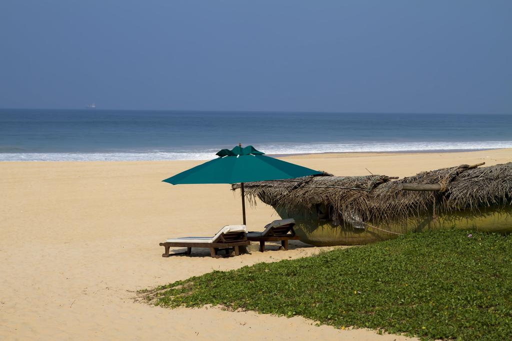 Suite Lanka — Хіккадува, Шрі Ланка мініатюра 8