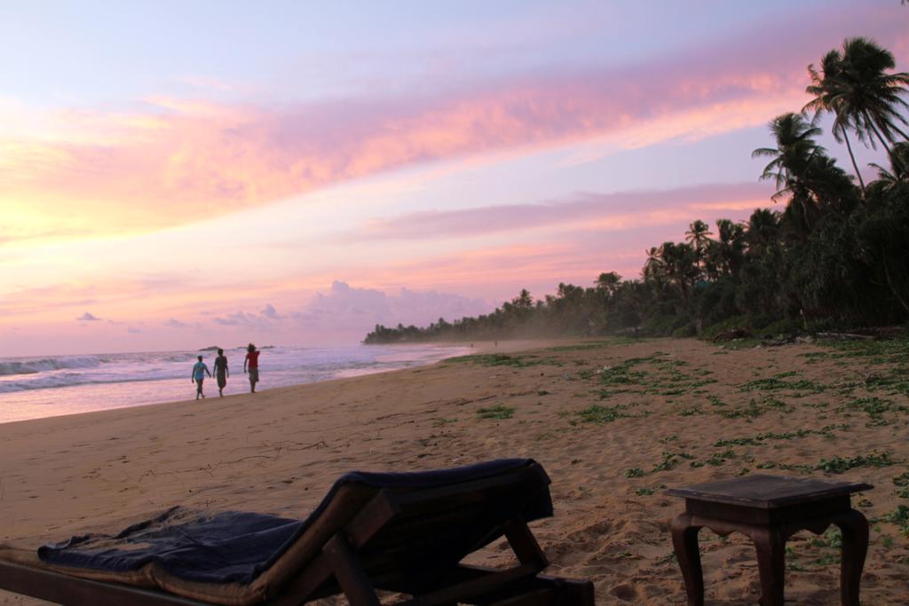 Suite Lanka — Хіккадува, Шрі Ланка мініатюра 16