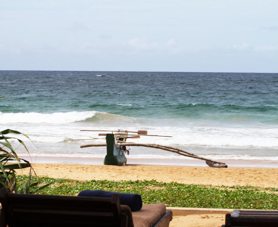 Suite Lanka — Хіккадува, Шрі Ланка мініатюра 20