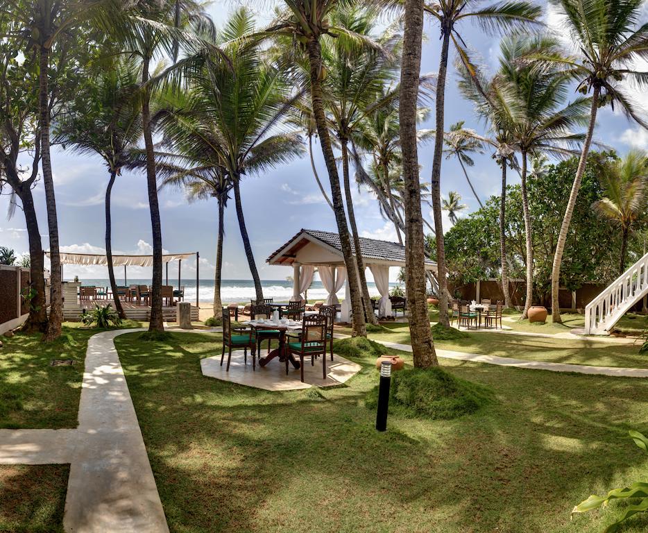 Suite Lanka — Хіккадува, Шрі Ланка мініатюра 34